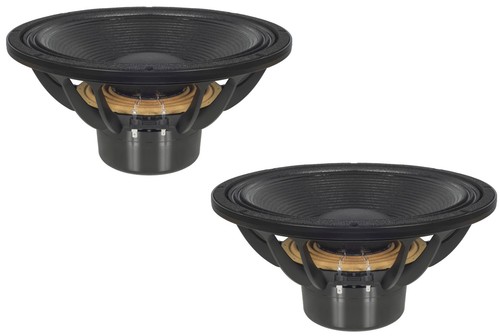 15sw100 15 subwoofer - 15sw100-8,